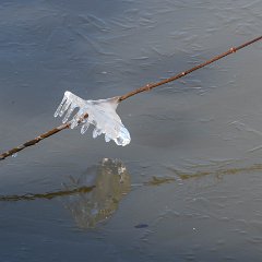 Schaatsen-Vlietberg-Nijmegen_feb2021