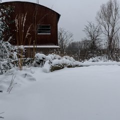 Sneeuw-winter-Nijmegen_feb2021