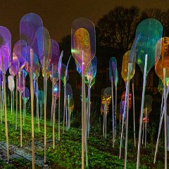 Amsterdam Light Festival_4dec2022