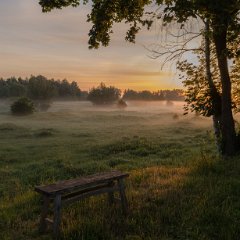 Stadswaal-Ooijpolder-Nijmegen