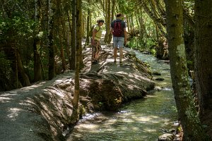 23PL0_8501-Enhanced-NR