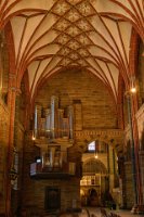 24PL0_7793-Enhanced-NR