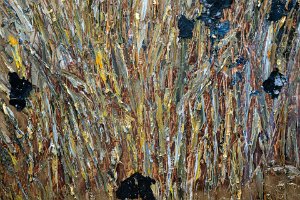 24PRL00043-Enhanced-NR