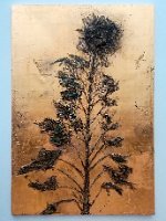 IMG_20240211_133700-Edit