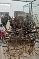 IMG_20240211_135740-Edit