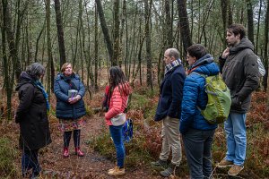 24PL0_8071-Enhanced-NR