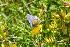 24PL0_3084-Enhanced-SR