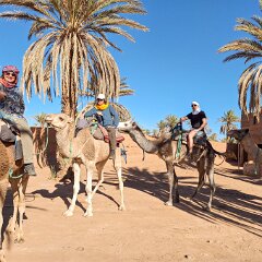 5. Trektocht-woestijn_16-17nov