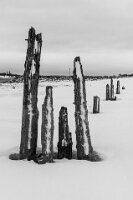 26PL1_0044