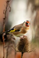 26PL1_0276-Edit-2